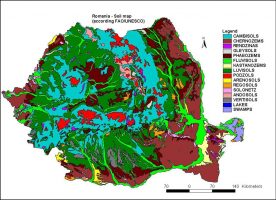 Socotra Farming