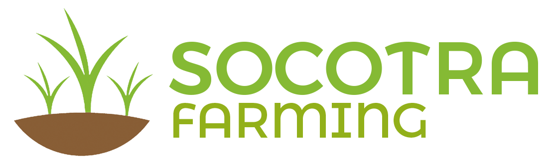 Socotra Farming
